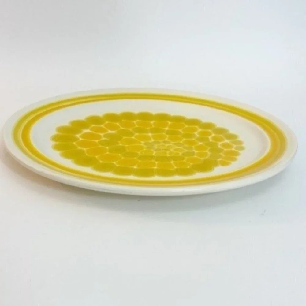 Vintage 1970 Franciscan Sundance Earthenware 102-73 Oval serving Platter 13.5